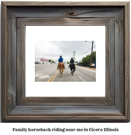 family horseback riding near me in Cicero, Illinois